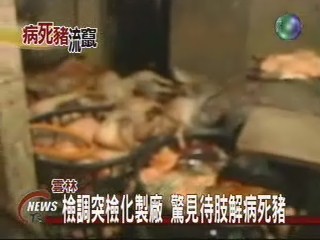 合法掩護非法 病死豬肉外流 | 華視新聞