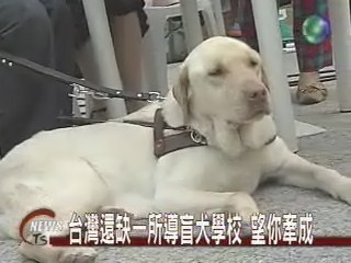 可魯嘉年華 導盲犬歡聚 | 華視新聞