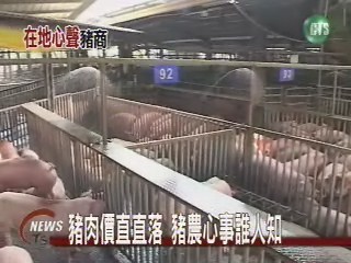 豬肉價直直落 豬農心事誰人知 | 華視新聞