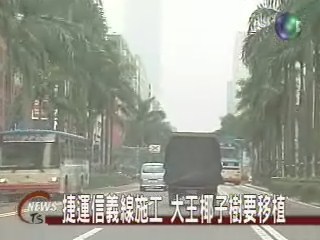 捷運信義線施工 大王椰子樹要移植 | 華視新聞