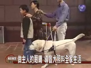 做主人的眼睛 導盲犬照料全家生活 | 華視新聞