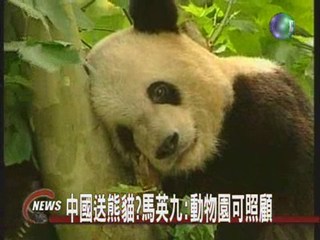 胡連會見面禮 中國將送國寶熊貓?