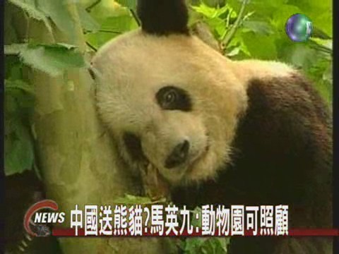 胡連會見面禮 中國將送國寶熊貓? | 華視新聞