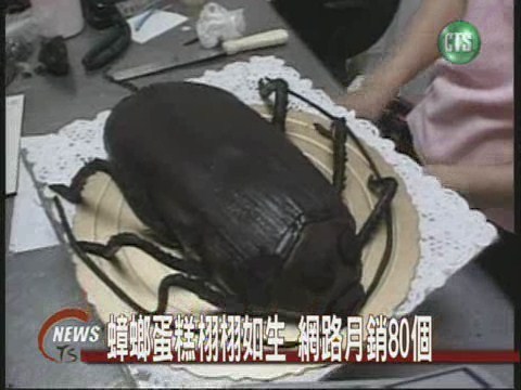 蟑螂蛋糕栩栩如生網路月銷80個 | 華視新聞