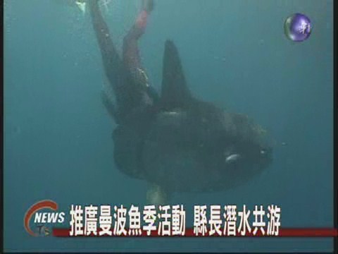 推廣曼波魚季活動縣長潛水共游 | 華視新聞