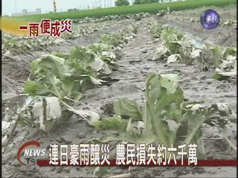 蔬菜損失慘重 市價漲三成 | 華視新聞