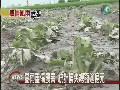 豪雨重傷農業 統計損失總額逾億元 | 華視新聞