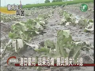 連日豪雨 蔬果泡爛 損失1.8億