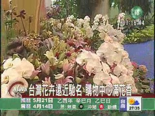台灣花卉遠近馳名 購物中心滿花香