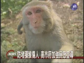 柴山獼猴染人畜共通病 遊客警戒