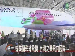 蝴蝶蘭彩繪飛機台灣之美飛向國際