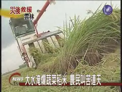 大水淹爛蔬菜稻米 農民叫苦連天 | 華視新聞