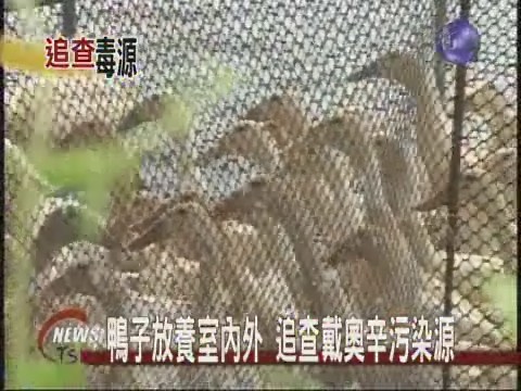 鴨子放養室內外 追查戴奧辛污染源 | 華視新聞