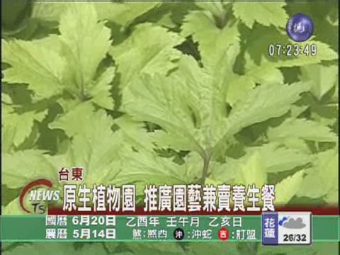 台東新景點原生植物園 | 華視新聞