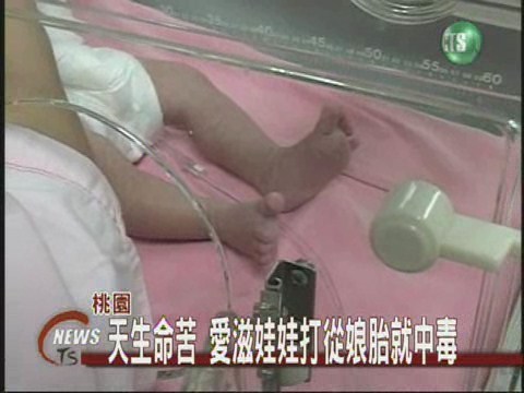 孕婦垂直感染 娃娃天生中毒 | 華視新聞