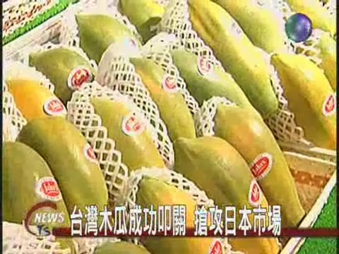 台灣木瓜叩關 進攻日本市場 | 華視新聞