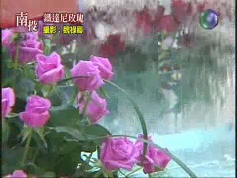 鐵達尼玫瑰 | 華視新聞