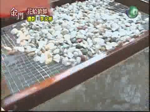 金門花蛤搶鮮 | 華視新聞