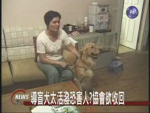 導盲犬不專業？使用者槓上協會 | 華視新聞