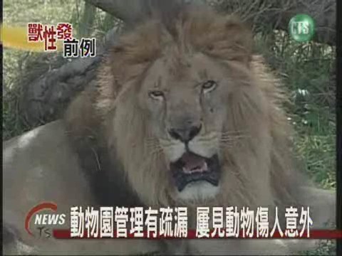 動物園管理有疏漏屢見動物傷人意外 | 華視新聞