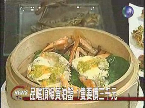 頂級黃油蟹1隻要價三千 | 華視新聞