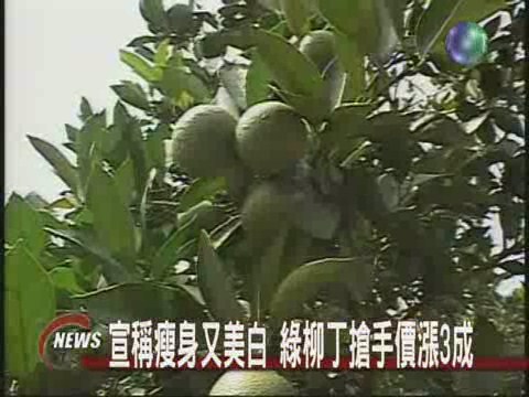 宣稱瘦身又美白綠柳丁搶手價漲3成 | 華視新聞