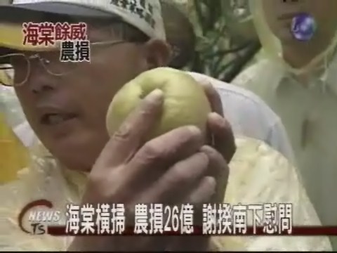 海棠橫掃 農損23億 | 華視新聞
