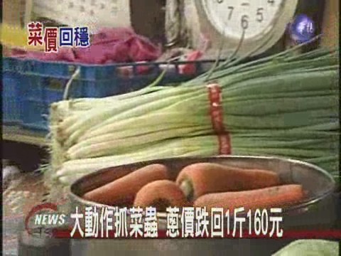 大動作抓菜蟲 蔥價跌回1斤160元 | 華視新聞