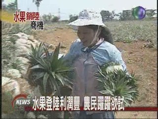 台灣農產輸中  省農會喊話