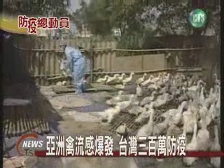 亞洲禽流感爆發台灣三百萬防疫
