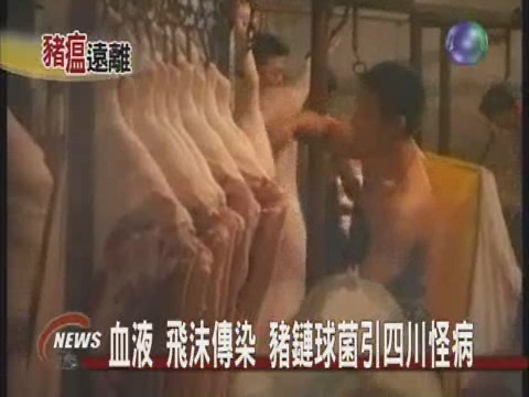 赴四川旅遊 不要吃豬肉 | 華視新聞