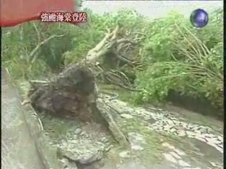 颱風各地災情