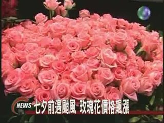 七夕前遇颱風 玫瑰花價格飆漲