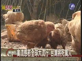 禽流感全球備戰台灣儲備疫苗