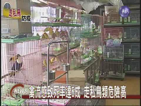 禽流感疫情嚴重防走私鳥攜病毒 | 華視新聞