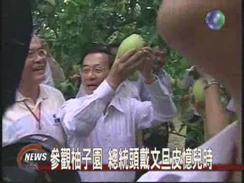 推銷雲林文旦總統戴柚子皮 | 華視新聞