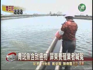 青斑魚含致癌物 屏東養殖業者喊冤