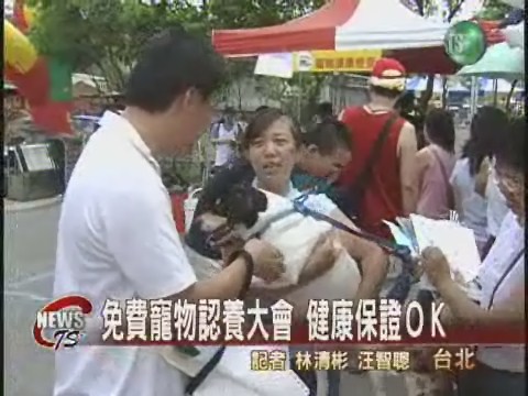 免費寵物認養大會健康保證ＯＫ | 華視新聞