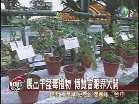認識植物博覽會 毒植物千奇百怪 | 華視新聞