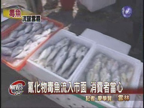 利用氰化物毒魚 海巡逮六名惡徒 | 華視新聞