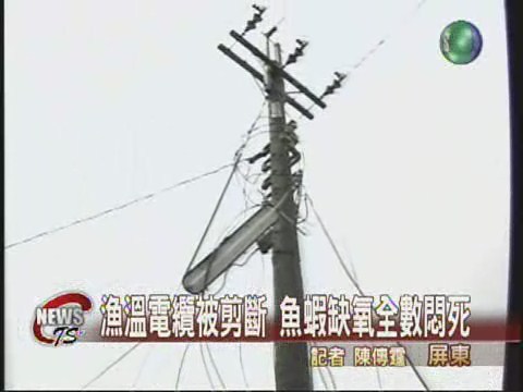 漁塭電纜被剪斷魚蝦缺氧悶死 | 華視新聞