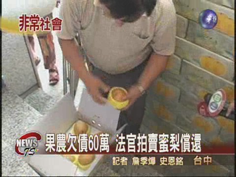 果農欠債60萬 查封水果拍賣 | 華視新聞