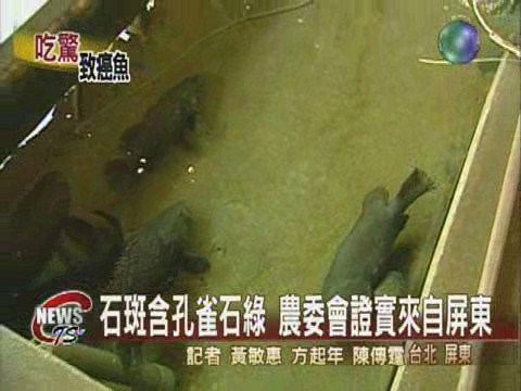 石斑含孔雀石綠農委會證實來自屏東 | 華視新聞
