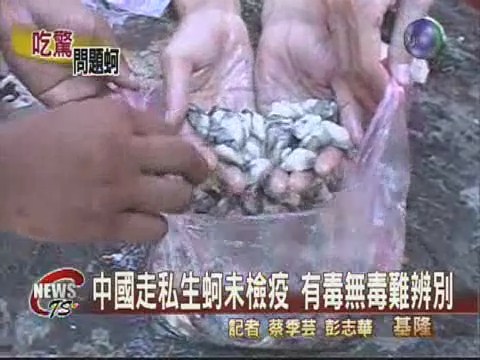 中國走私生蚵未檢疫 有毒無毒難辨別 | 華視新聞