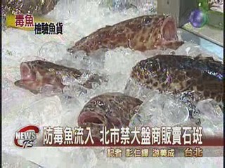 防毒魚流入 北市禁大盤商販賣石斑
