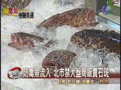 防毒魚流入 北市禁大盤商販賣石斑 | 華視新聞