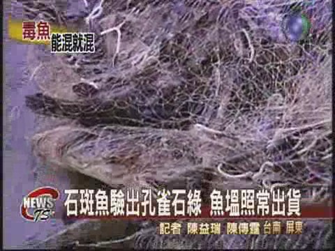 石斑魚驗出孔雀石綠 魚塭照常出貨 | 華視新聞