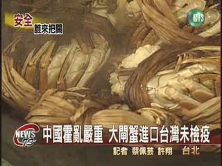 中國霍亂嚴重 大閘蟹進口台灣未檢疫