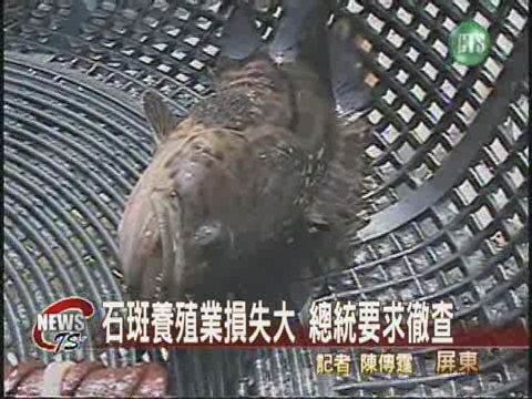 石斑養殖業停擺總統聲援漁民 | 華視新聞