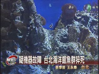 疑機器故障 台北海洋館魚群猝死